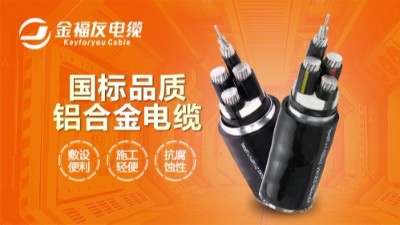 無良廠家制造非標電纜，我們不一樣